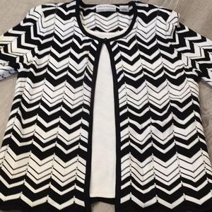 Alfred DUNNER...Top with Attached Under Blouse 💐